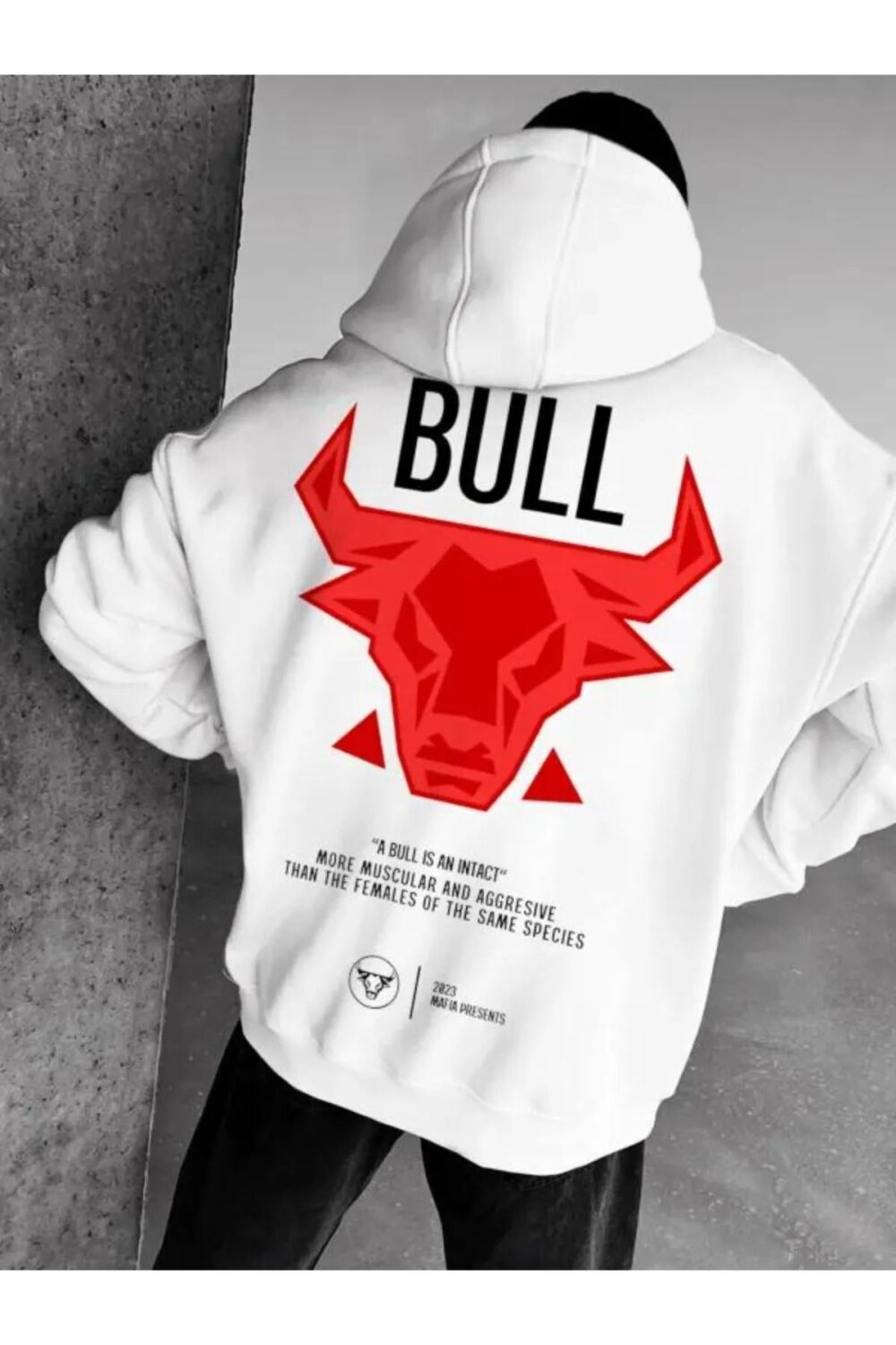 3 İplik Bull Baskılı Beyaz Kapüşonlu Sweatshirt Hoodie